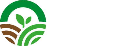 Grupo Kaax Logo